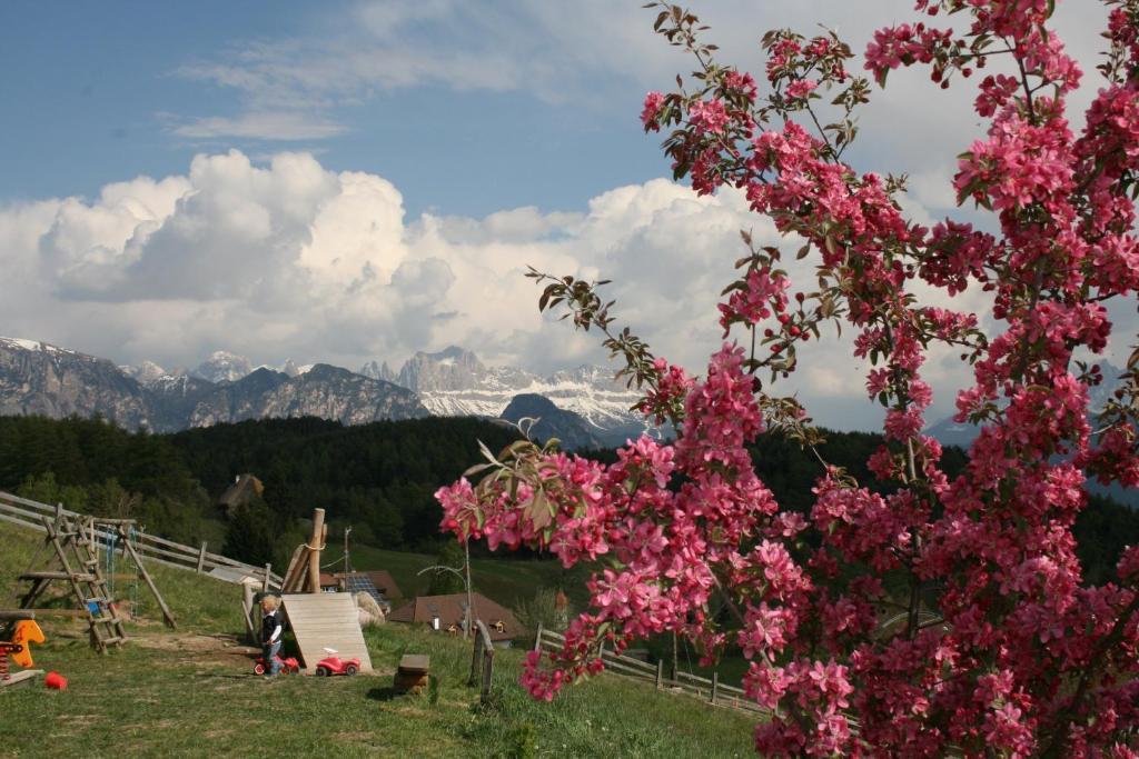 Hotel Am Hang Soprabolzano Luaran gambar
